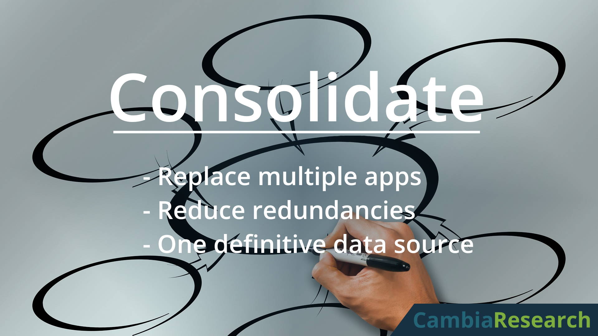 Consolidate existing systems and software with custom software solutions.