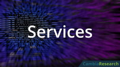 Custom software services